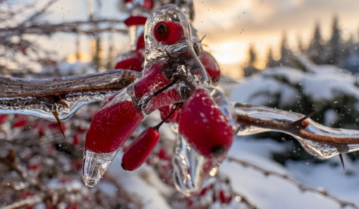 Icy conditions in four regions of Ukraine: meteorologists warn of yellow danger level