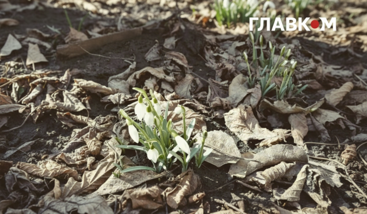 Operation 'First Flowers' launched in Kyiv