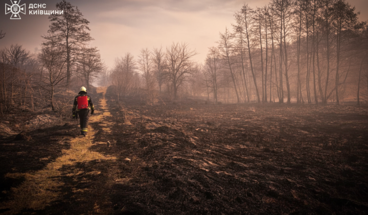 Wildfires in ecosystems in Kiev region