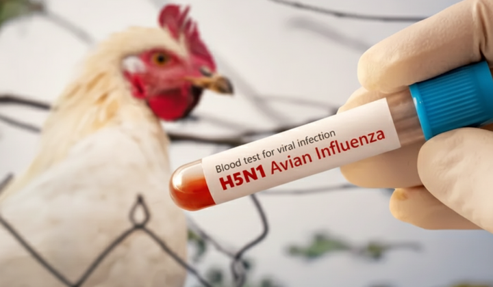First case of bird flu H9N2 in Europe