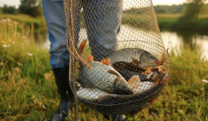Fishing ban in Kyiv region