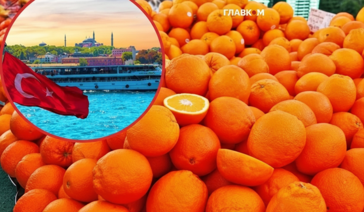 Експорт цитрусових та ягід України
