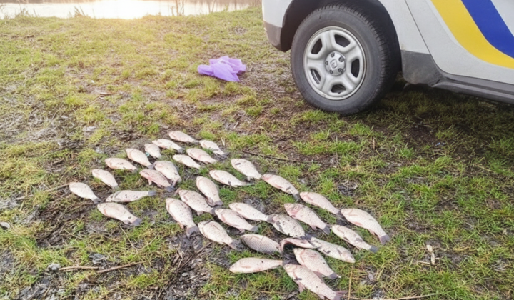 Police exposed poachers in Kyiv region