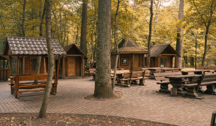Entrepreneur charged for cafe on forest land