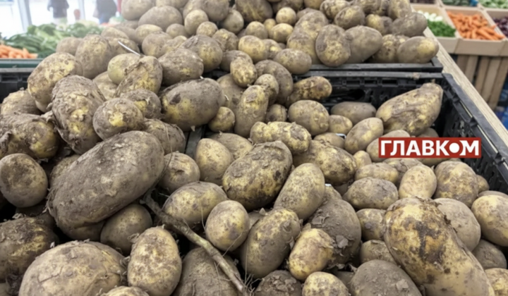 Potatoes among fresh vegetables at market