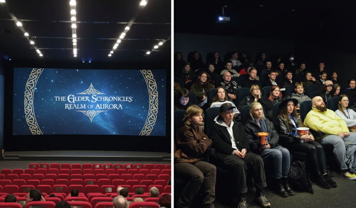 Incident at the Sunny Bunny Film Festival