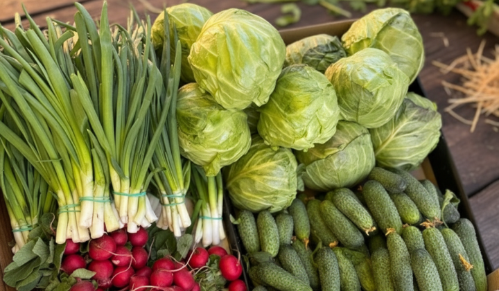 Продуктові ярмарки у Києві з соціальними наметами