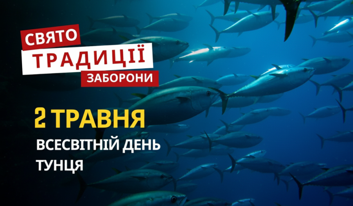 Тунець у честь Всесвітнього дня тунця