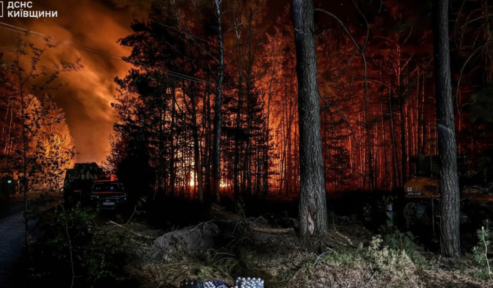 Fire in Kyiv region on 1200 ha