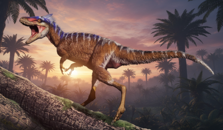 Dinosaurs fed their young soft food
