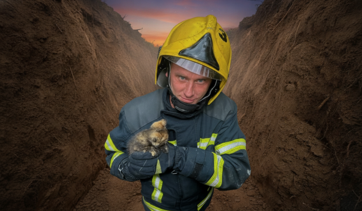 Rescuers pulled out four animals from debris