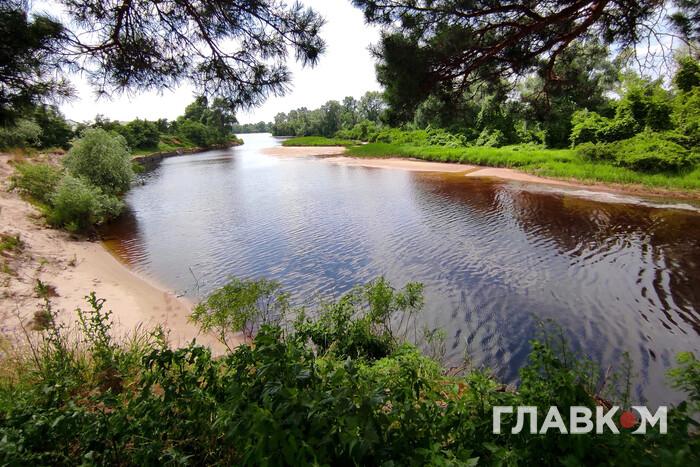 Солнечный день с теплой погодой