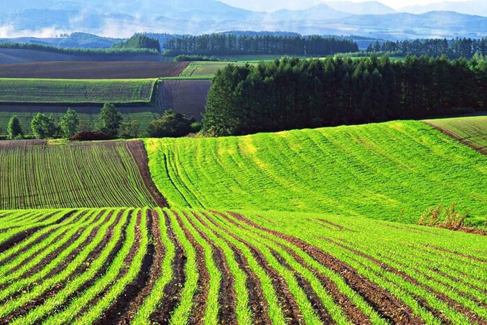 Зайняття ворогів на землях Запоріжжя: фото