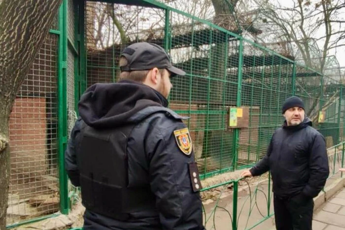 Леопард напав на працівника зоопарку