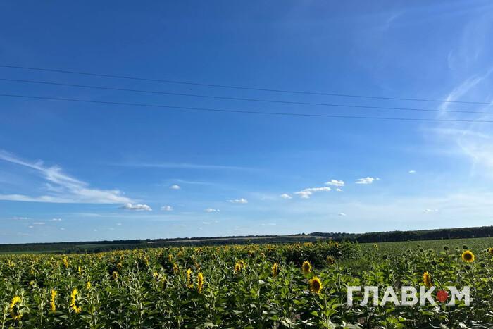 Аномальна спека, 41°, Україна, області