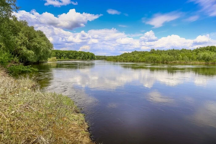 Реки Сейм и Десна: качество воды