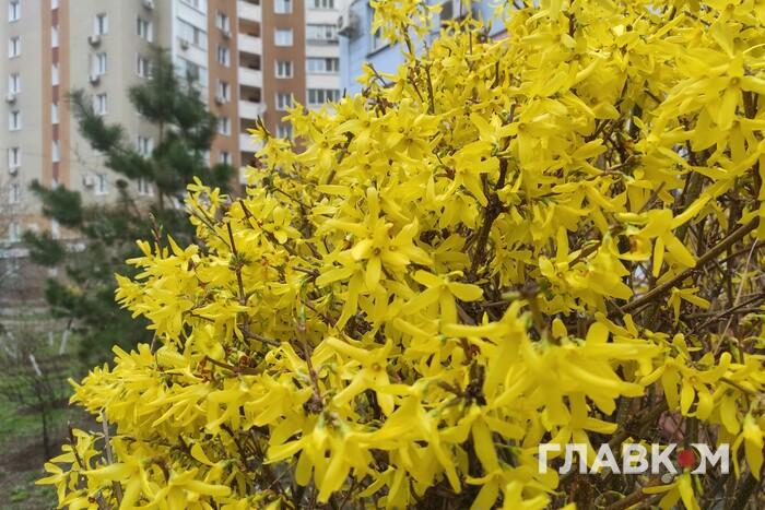 Хмарна погода без дощів