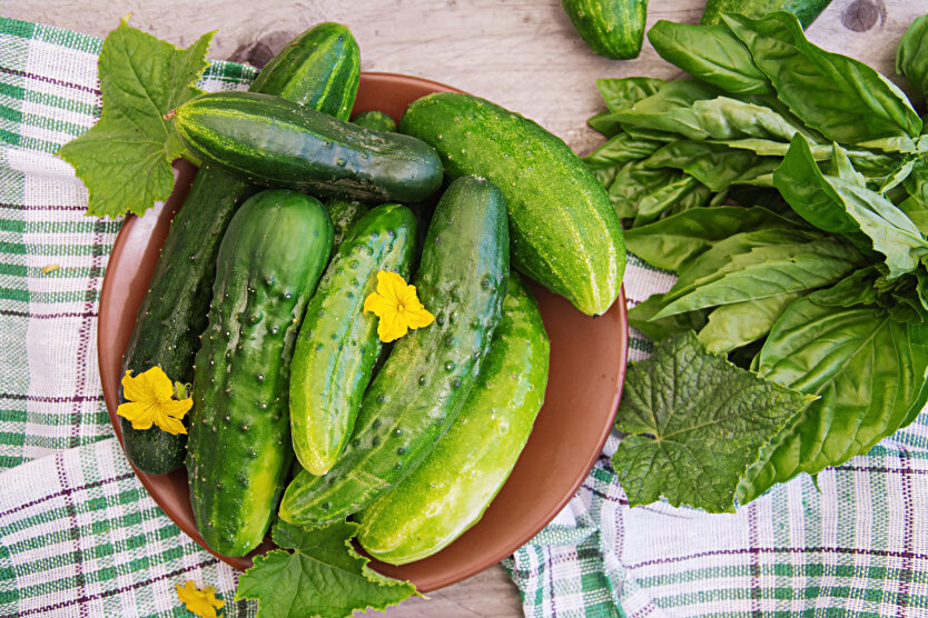В Україні подешевшали салатні овочі: скільки коштують огірки та помідори у червні