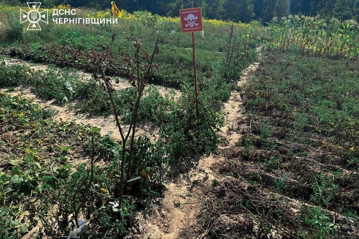 Сапери в руїнах міста на Чернігівщині