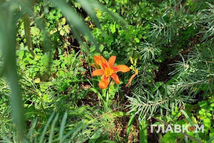 Передбачення погоди на 17 липня