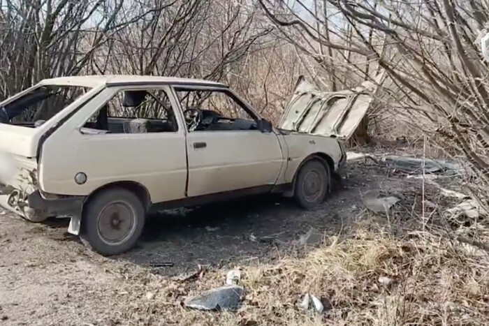 Ликвидация коллаборационистки в Бердянске