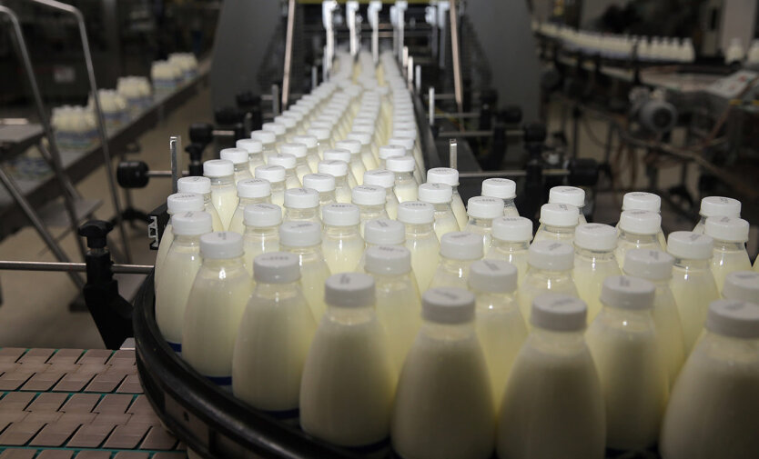 Молочна галузь: виробникам молока пообіцяли нові пільги