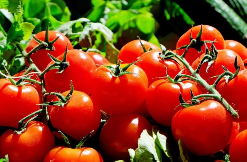 Відразу на 90 гривень за кіло: супермаркети різко змінили ціни на огірки та помідори