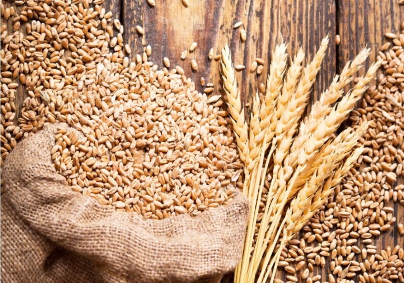 Макрон предупредил Зеленского: Франция ограничит поставки украинской зерновой 