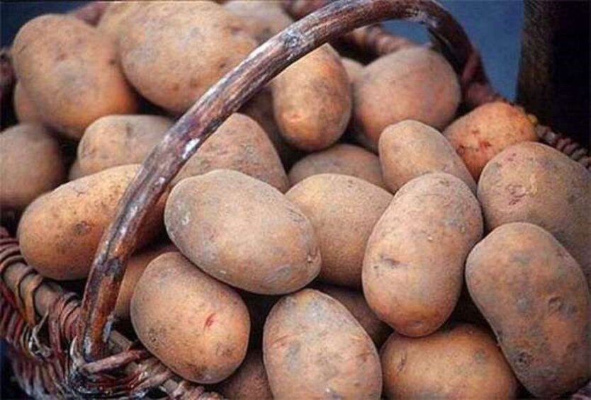 Майже 110 гривень за кіло: українцям показали свіжі ціни картопля, цибуля та капусту