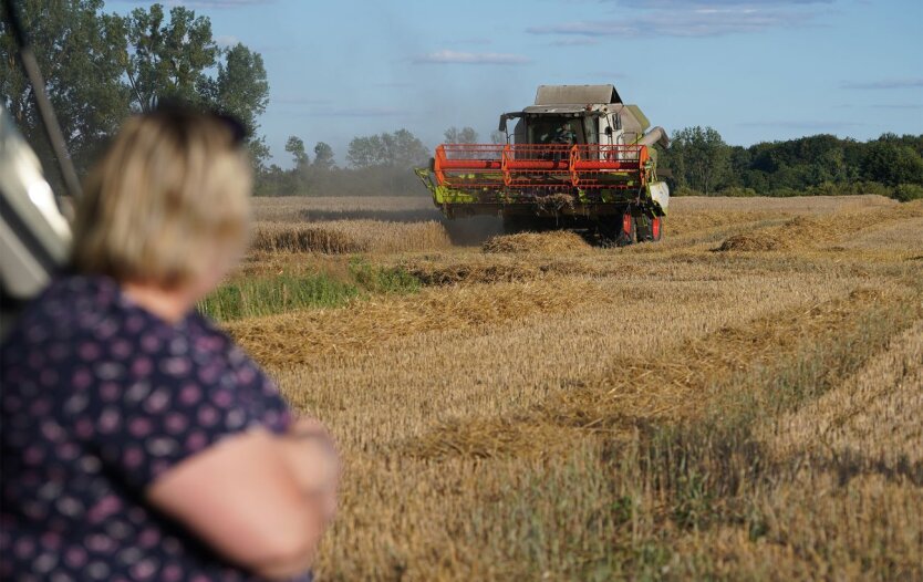 Нова ціна на землю в Україні