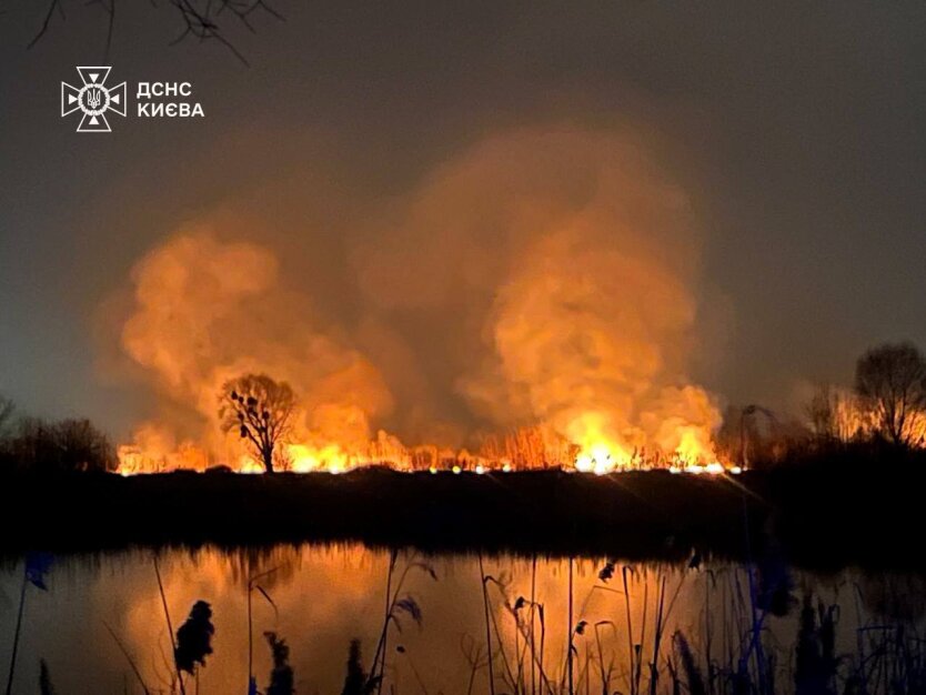 ДСНС: Площадь пожара на киевских Осокорках составляет около 3 гектаров