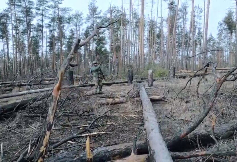 СВО отстаивают позиции в Луганской области