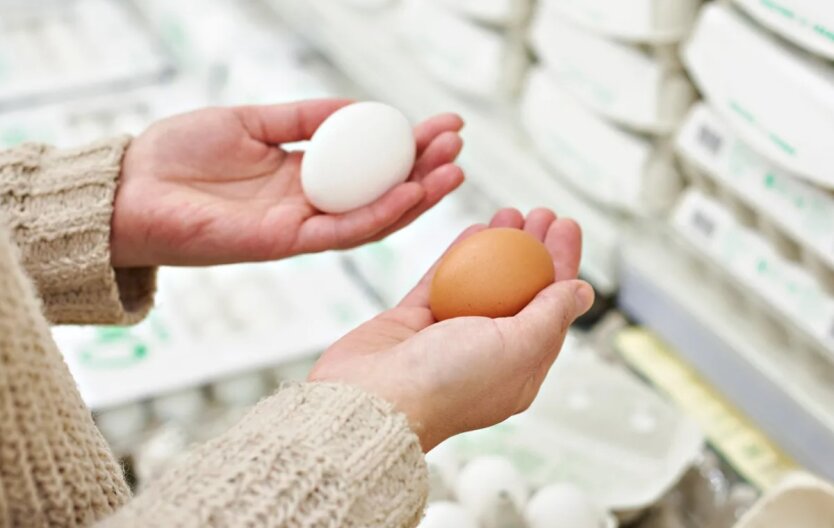 В Украине дешевеют яйца: ожидается ли рост цен перед Пасхой