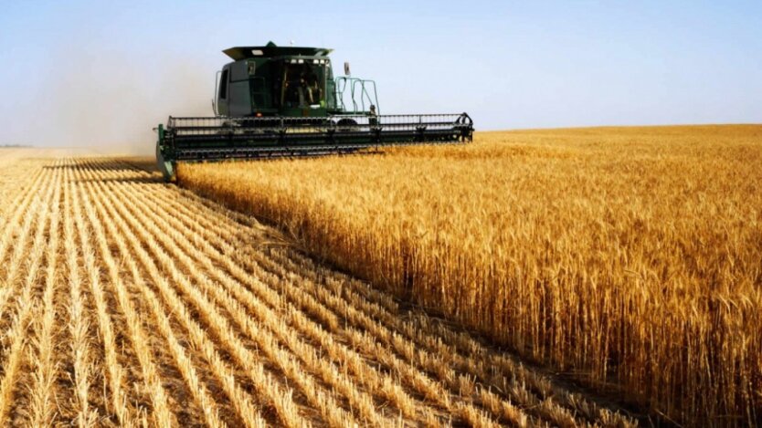 У USDA прогнозують скорочення врожаю зернових в Україні